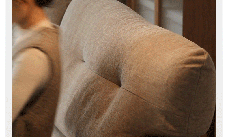 Sandalwood, Ash Solid Wood Genuine leather, fabric sofa