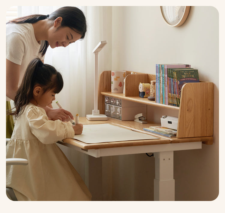 Beech, Oak, Poplar Solid Wood Nordic Study Bookshelf