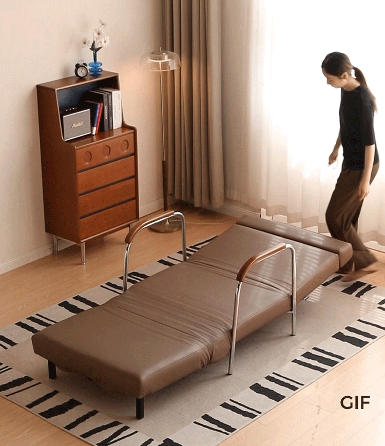 Fabric Modern Sofa Bed