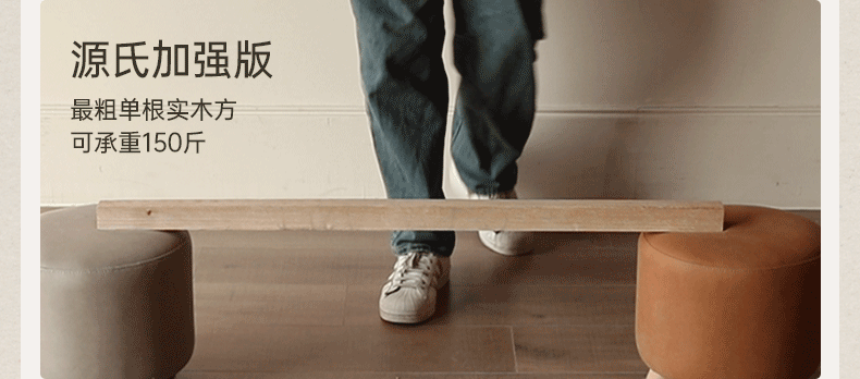 Functional Electric Reclining Chair