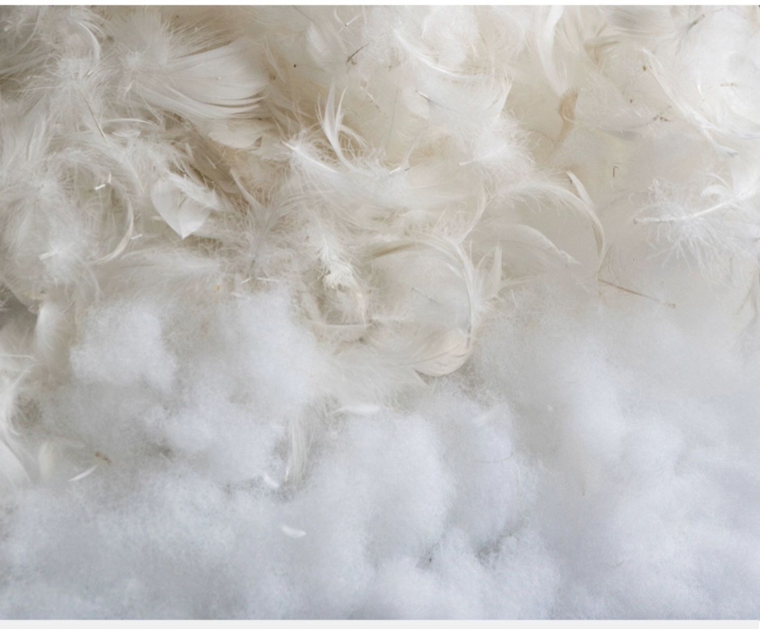 Technology Cloth folding Down Sofa,