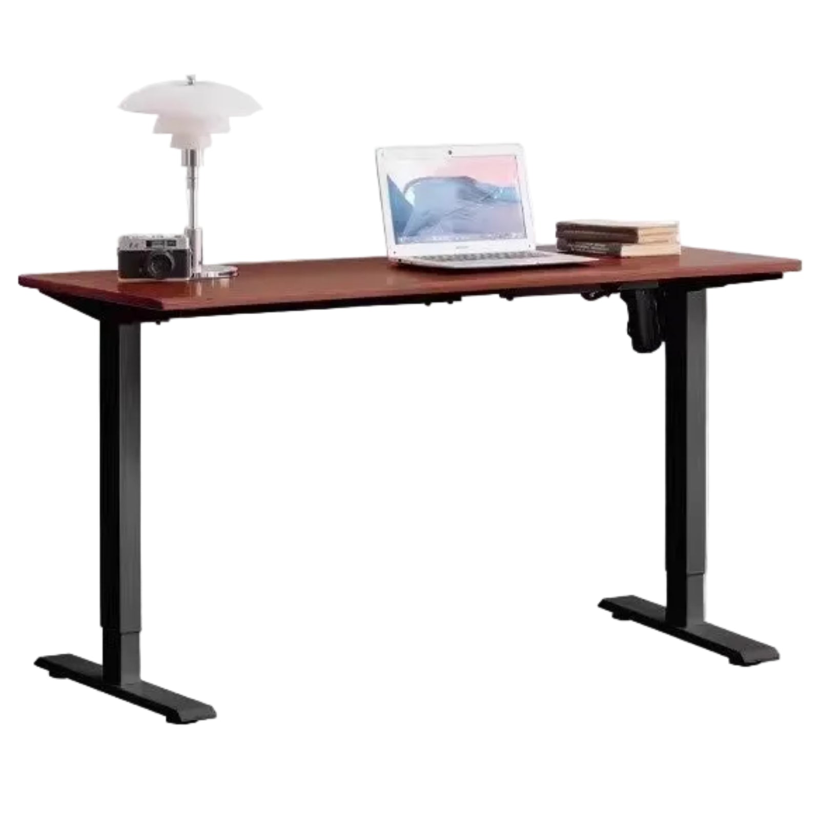 Black Walnut, Oak Solid Wood Standing Desk, Sit-Stand Electric Lift Table