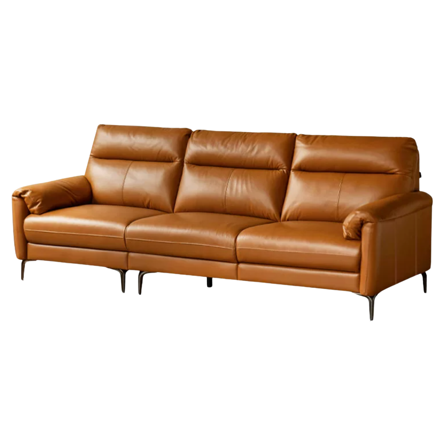 Genuine Leather Italian Normcore Modern Sofa