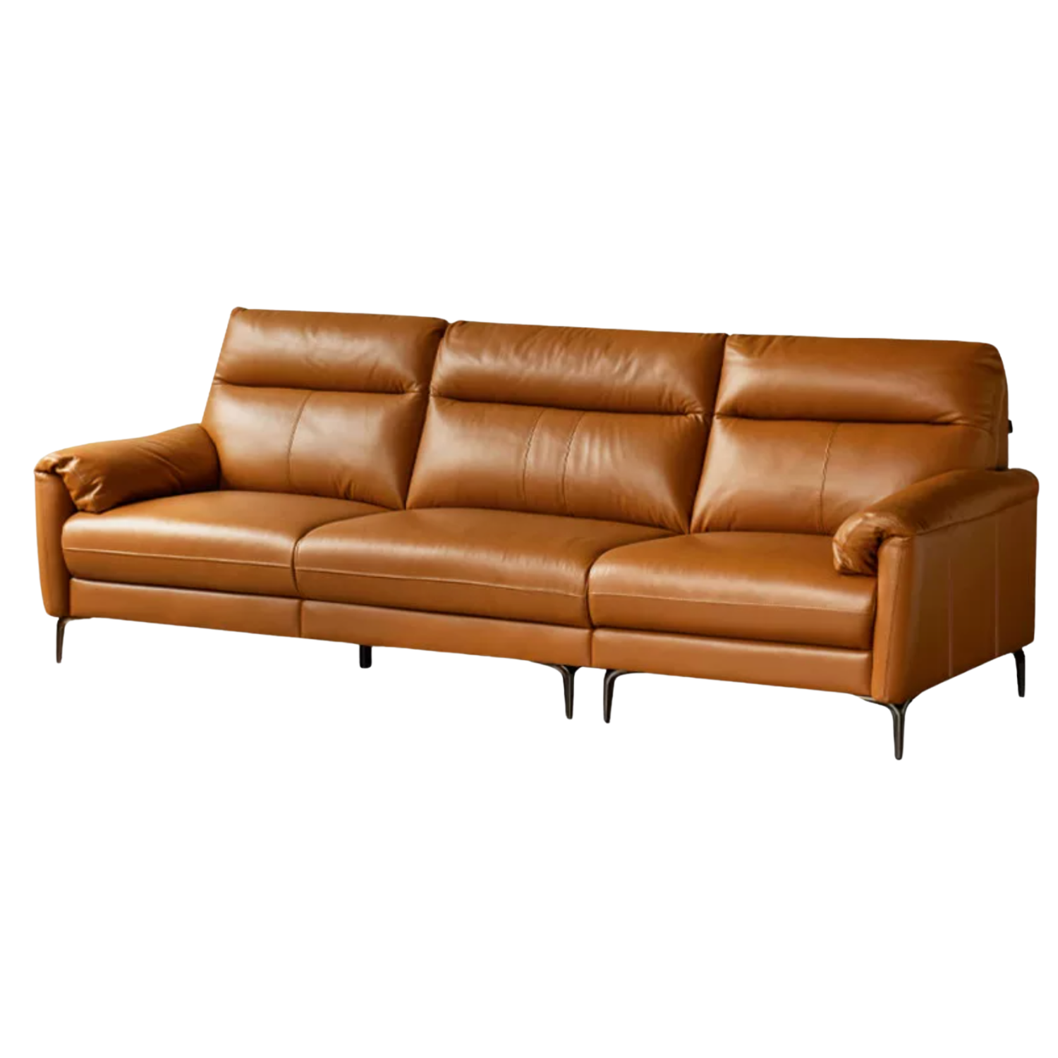 Genuine Leather Italian Normcore Modern Sofa