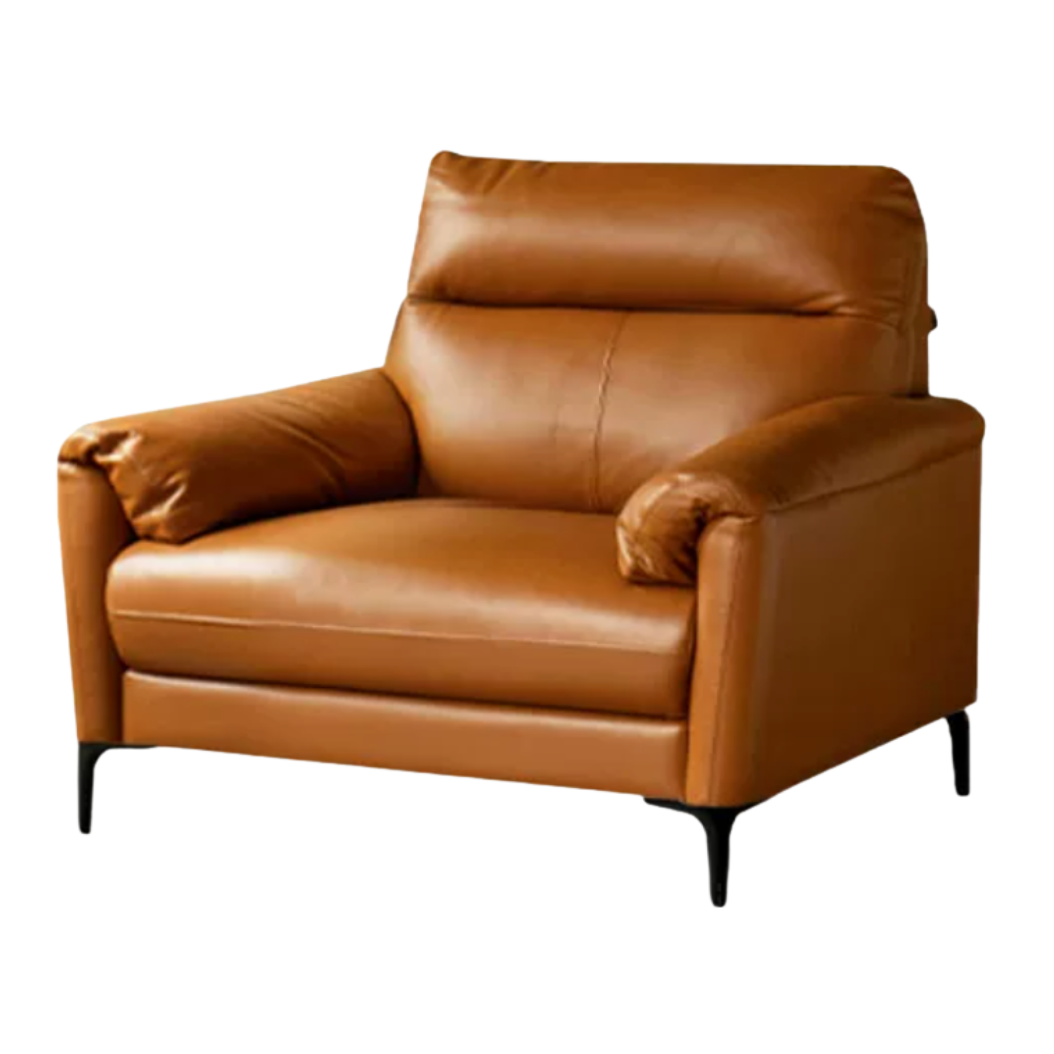 Genuine Leather Italian Normcore Modern Sofa
