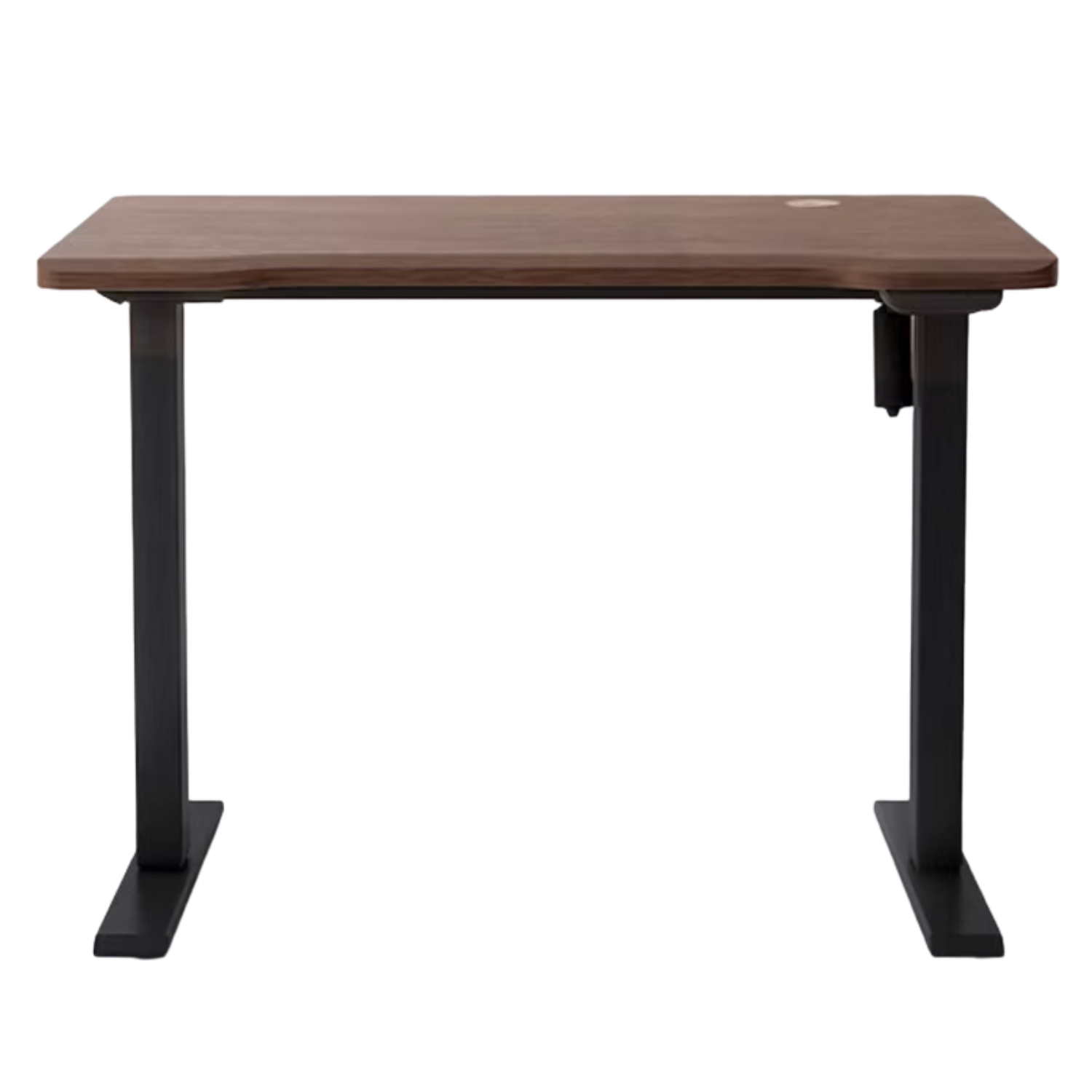 Ash, Sandalwood, Black Walnut Solid Wood Electric Elevating Office Desk