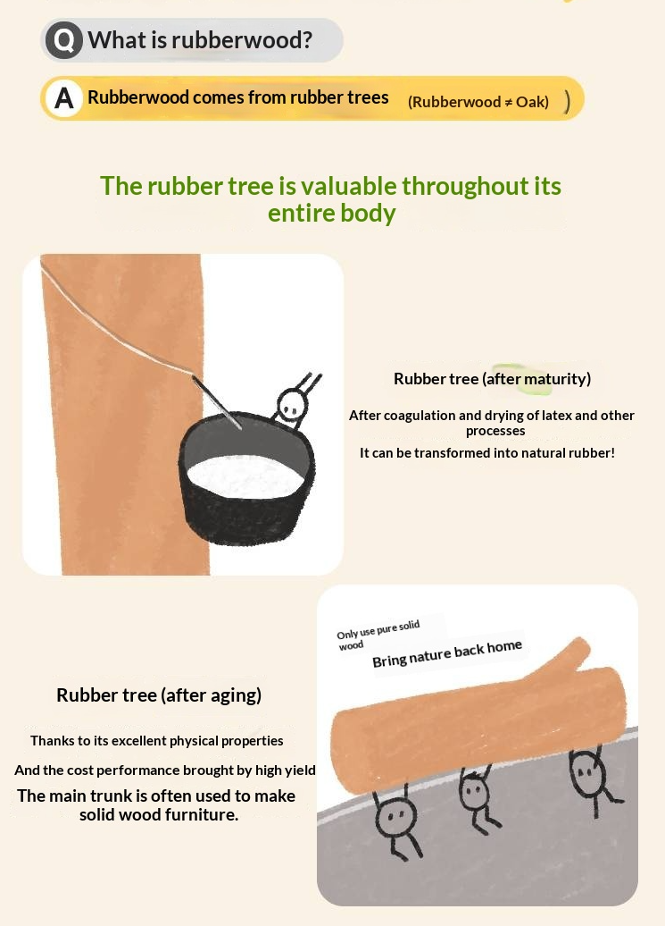 Rubberwood Solid Wood Children's Bed Modern Loft Bed