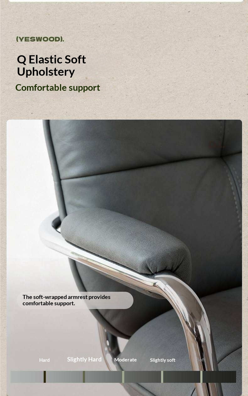 Fabric Soft Modern Rotating Lift Chair