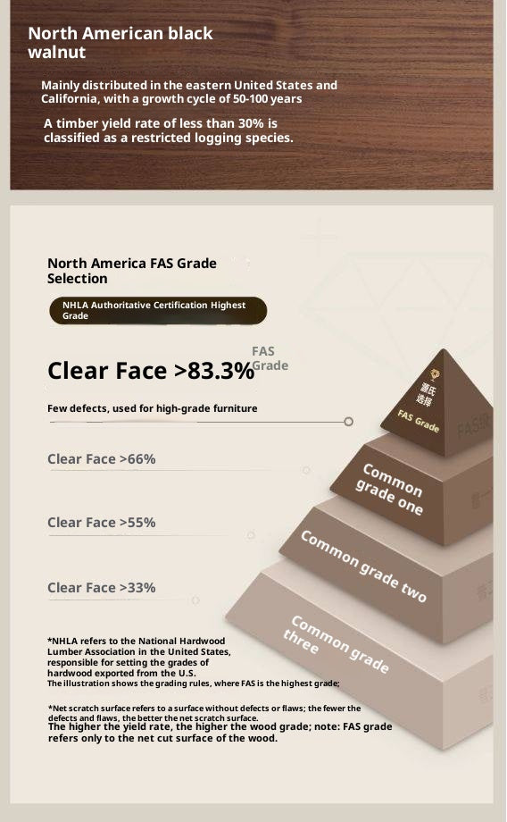 Black Walnut Solid Wood Italian Light Luxury TV Cabinet