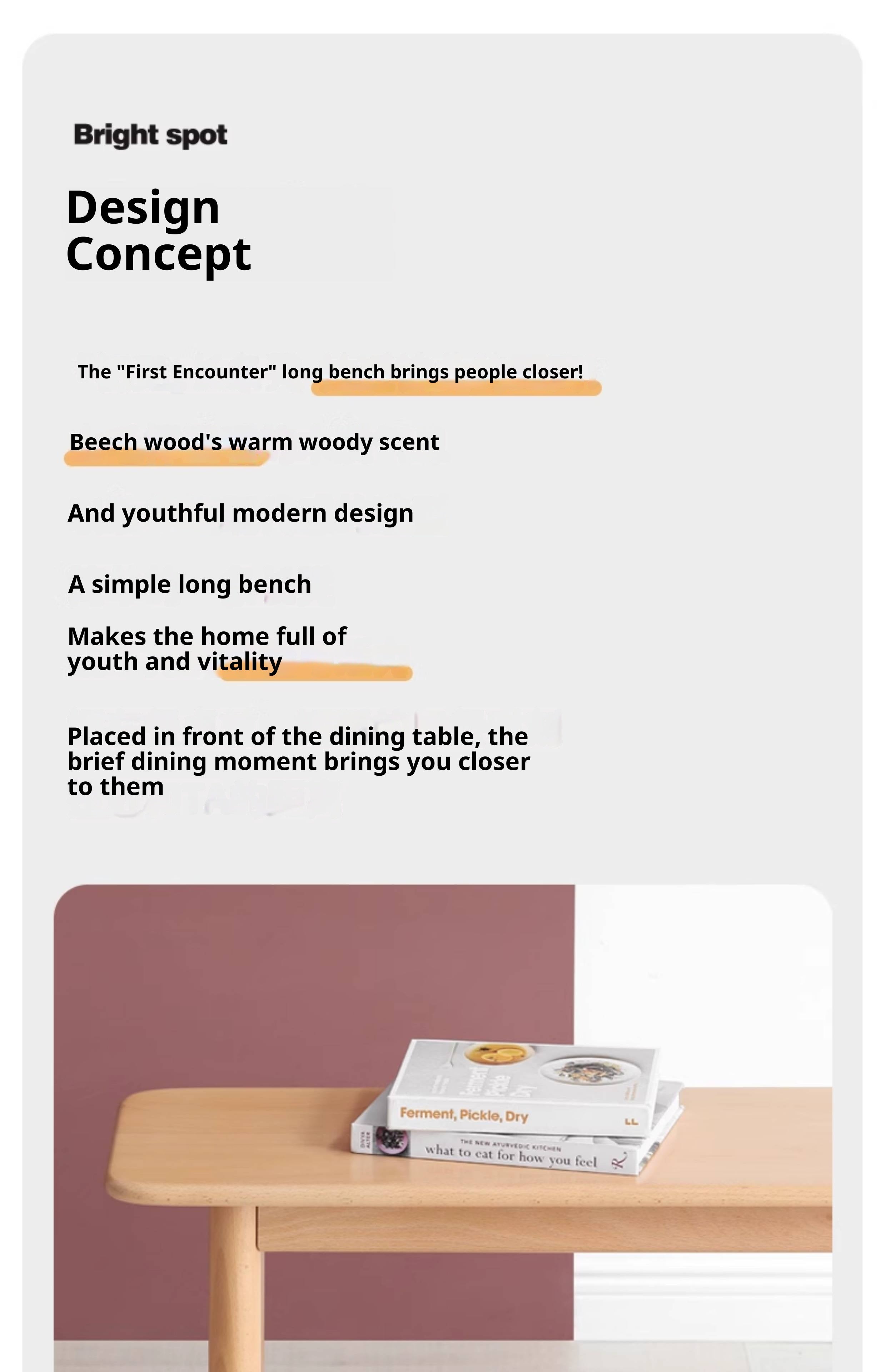 European Beech Wood Modern Long Bench