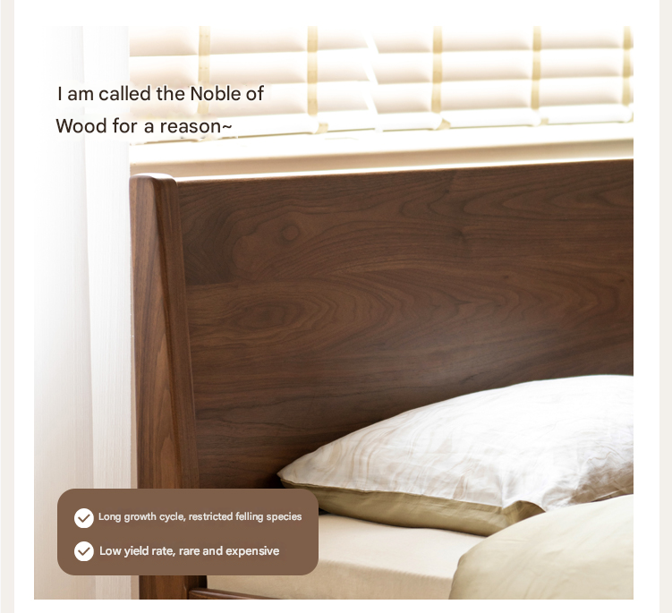 Black Walnut Solid Wood Bed