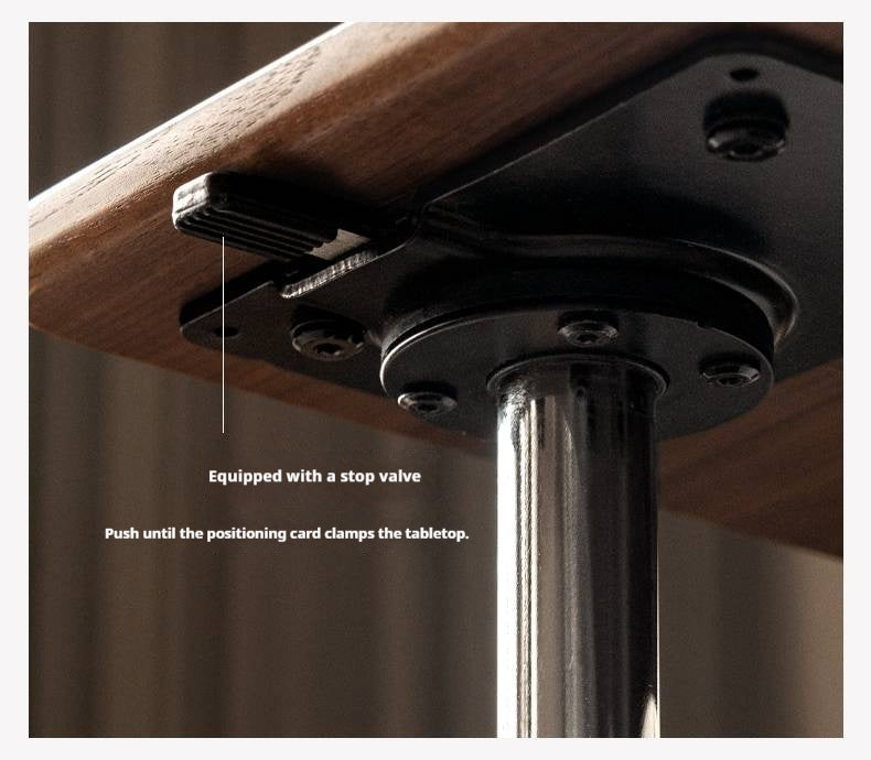 Black Walnut Solid Wood Italian Light Luxury Style Side Table