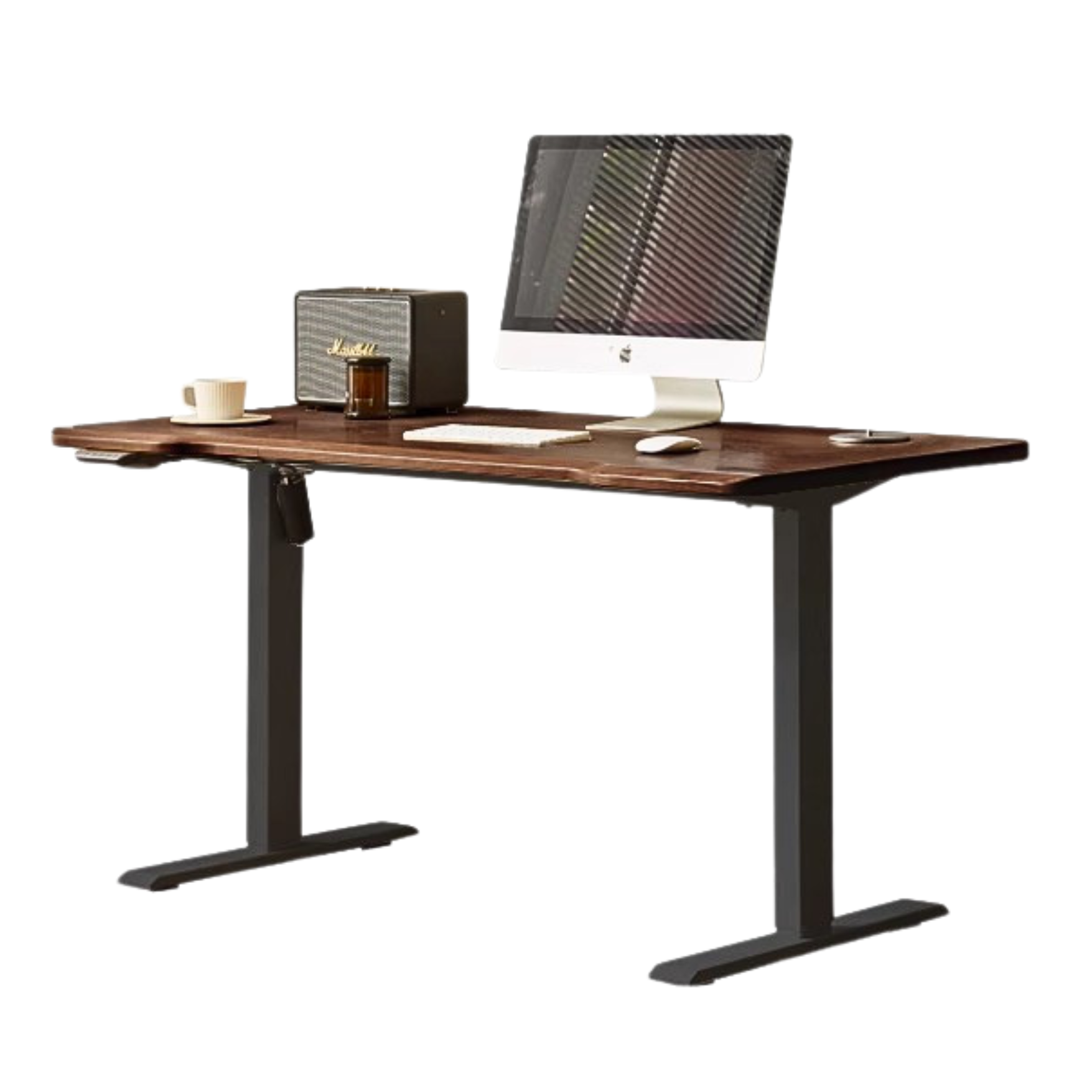 Ash, Sandalwood, Black Walnut Solid Wood Electric Elevating Office Desk