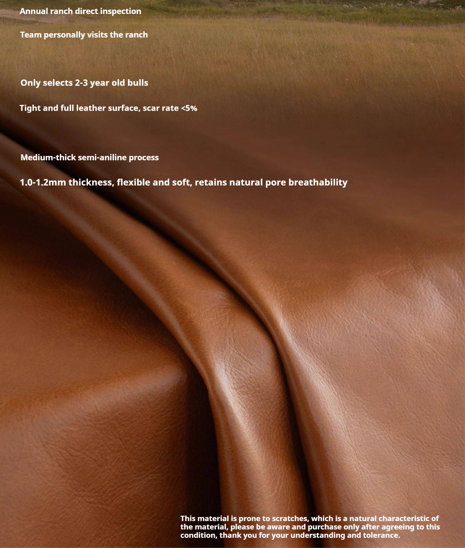 Genuine Leather Bauhaus Style Double Bed with Top Grain Cowhide Soft Backrest