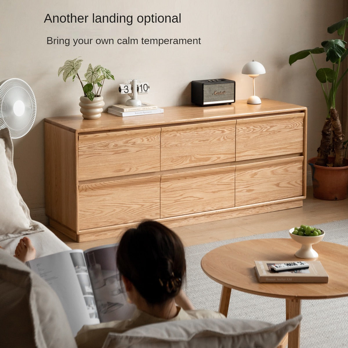 Ash, Oak Solid Wood Cabinet