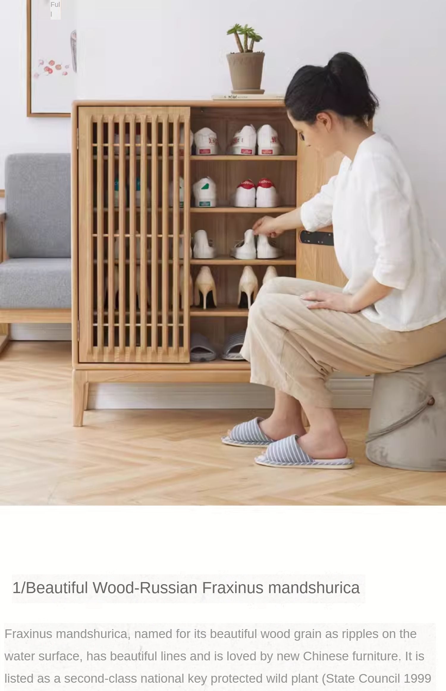 Ash Solid Wood Storage Shoe Cabinet