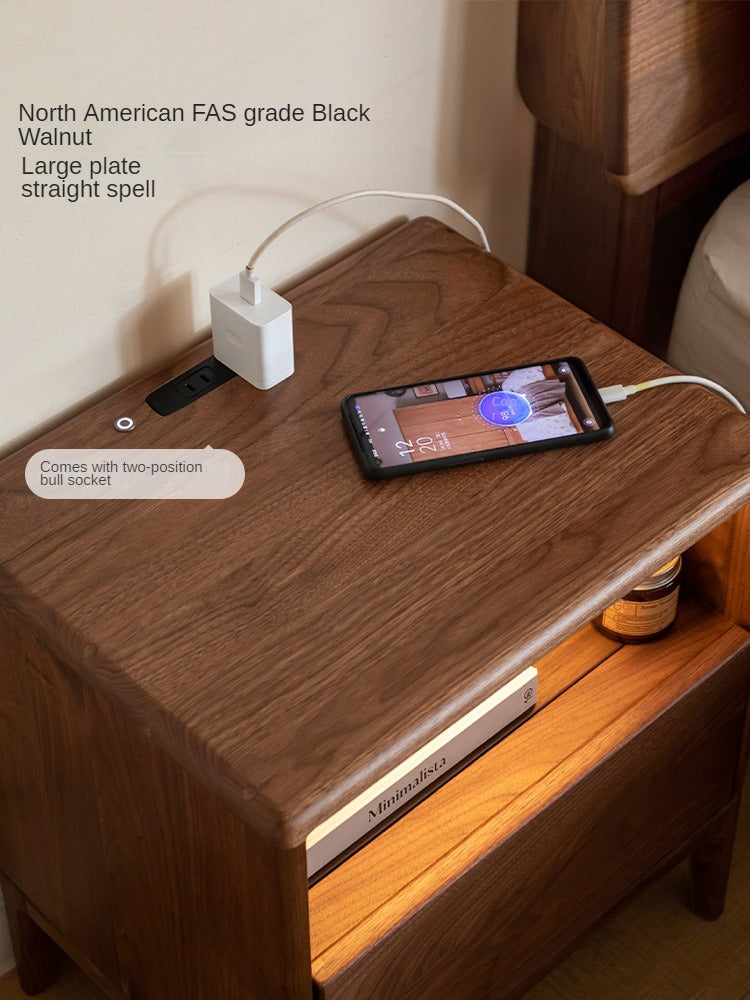 Black Walnut, Ash Solid Wood Nightstand With Light