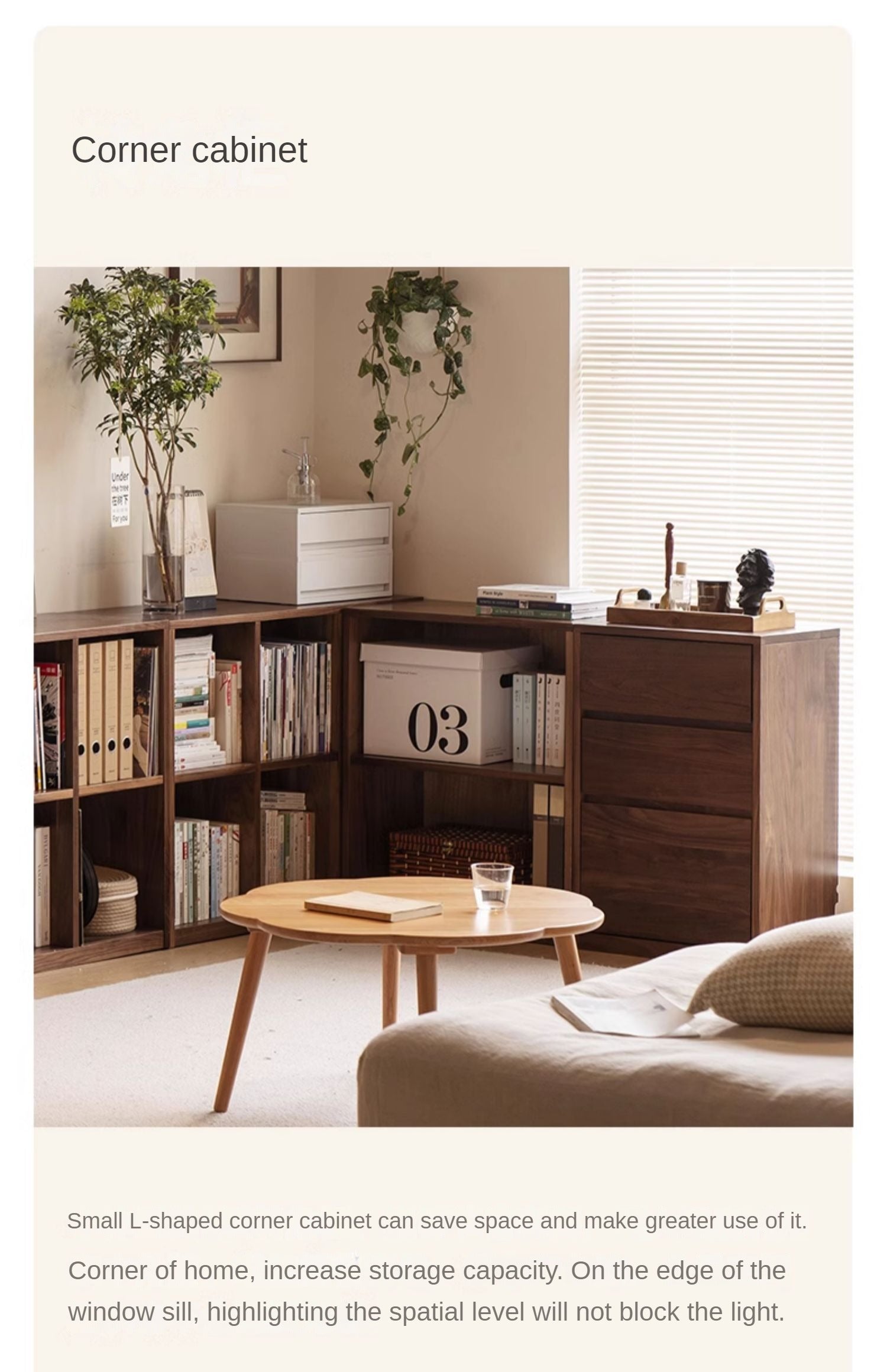 Black Walnut, Ash Solid Wood Floor Bookcase Rack