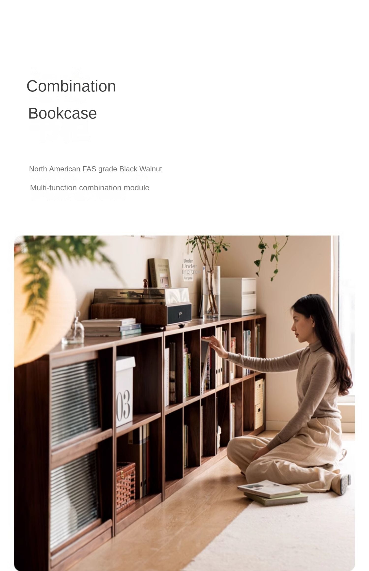 Black Walnut, Ash Solid Wood Floor Bookcase Rack
