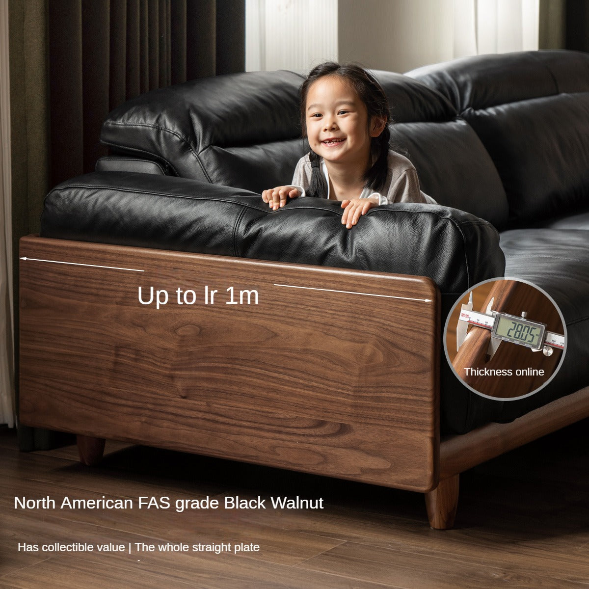 Black Walnut, Poplar Solid Wood Leather Sofa Italian Light Luxury.