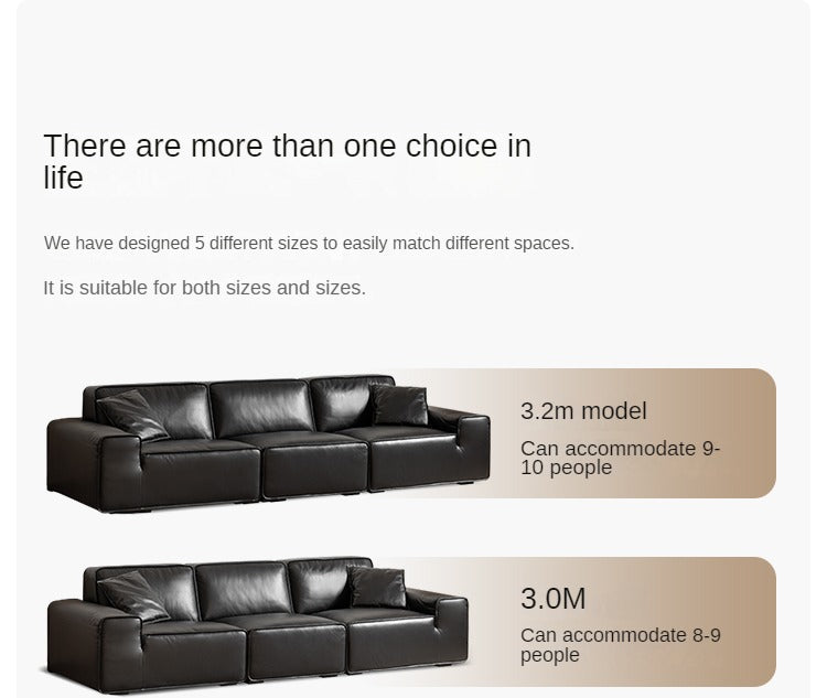 Top-grain Cowhide Leather Black Sofa.