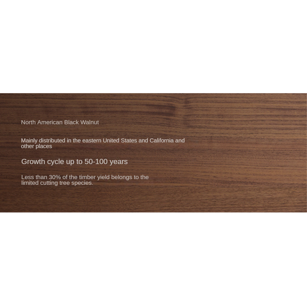 Black Walnut, Oak Solid Wood Bookcase Modern Storage Cabinet.