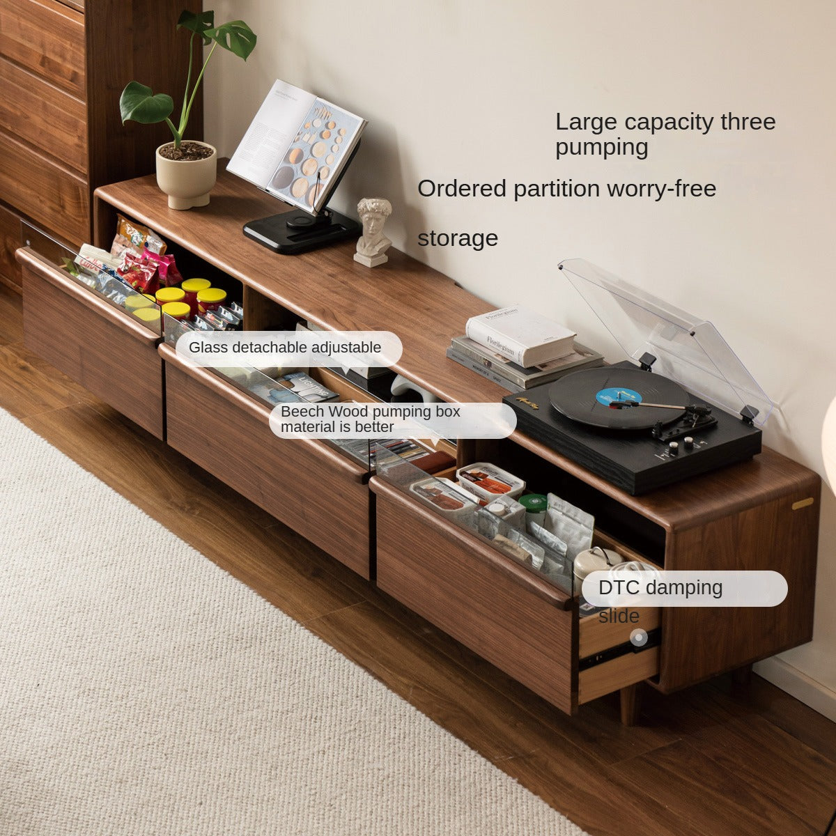 Black Walnut Solid Wood Modern TV Cabinet Locker Integrated.