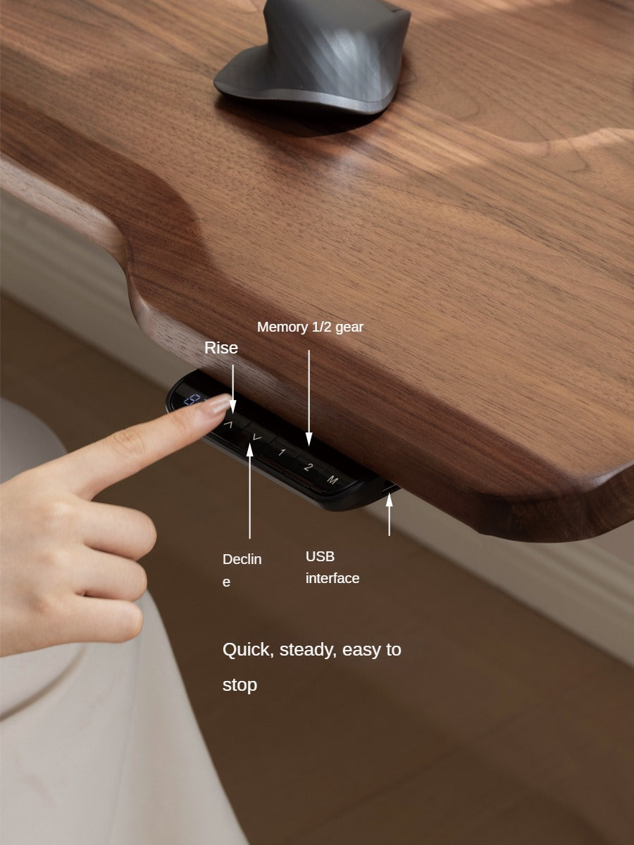 Ash, Sandalwood, Black Walnut Solid Wood Electric Elevating Office Desk