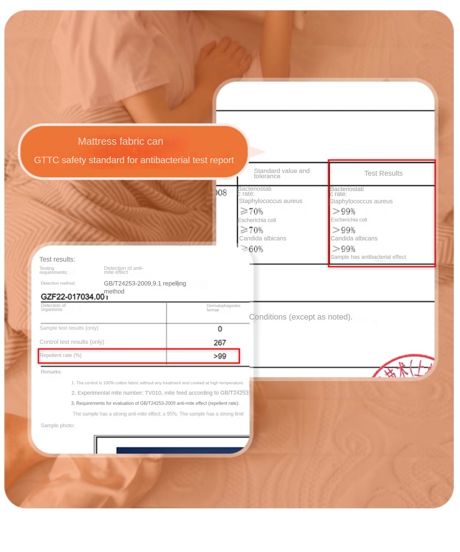 Zero-Glue Natural Coconut Fiber Eco-Friendly Double Mattress, Thin and Firm with Spinal Support 12cm, 8cm, 6cm