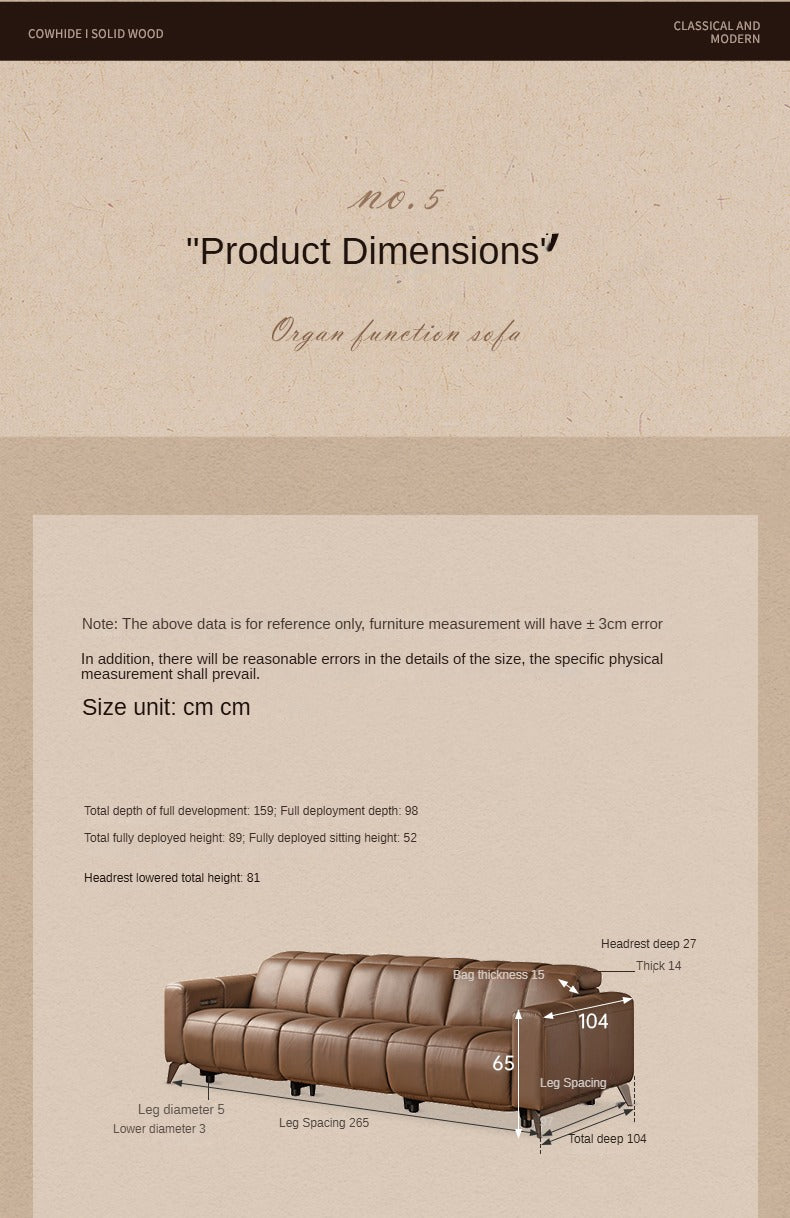 Electric Leather Zero Wall Function Sofa.