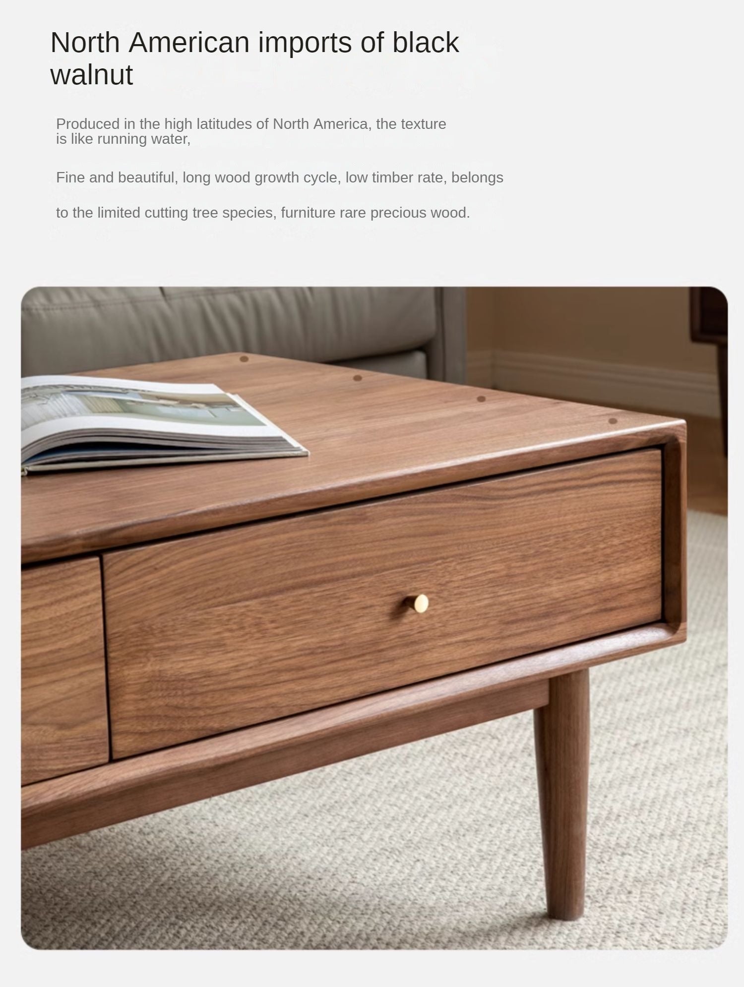 Black Walnut, Sandalwood Solid Wood Rock Plate Modern Coffee Table