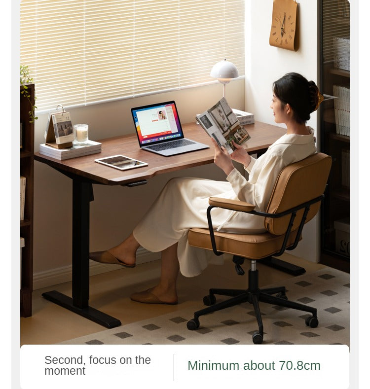 Ash, Sandalwood, Black Walnut Solid Wood Electric Elevating Office Desk