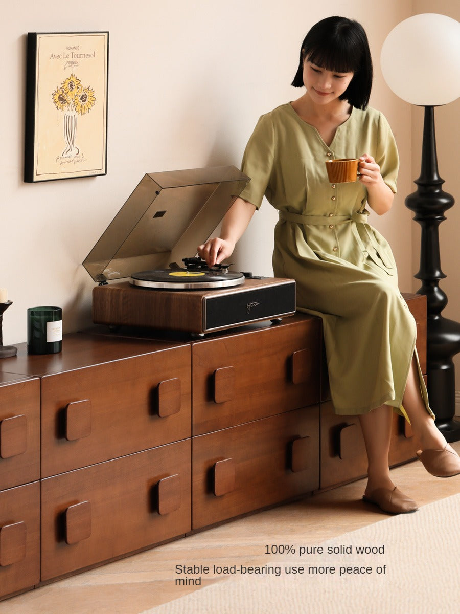 Poplar, Black Walnut, Ash, Cherry, Oak, Birch Solid Wood Retro Module Combination TV Cabinet.
