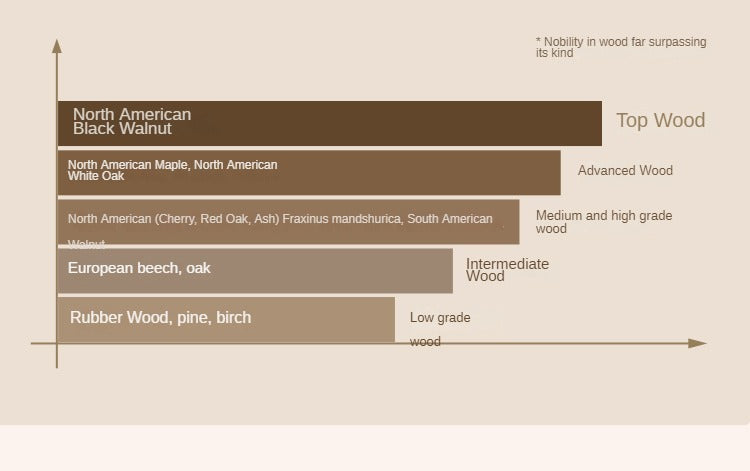 Ash, Black Walnut Solid Wood Double-Layer Coffee Table