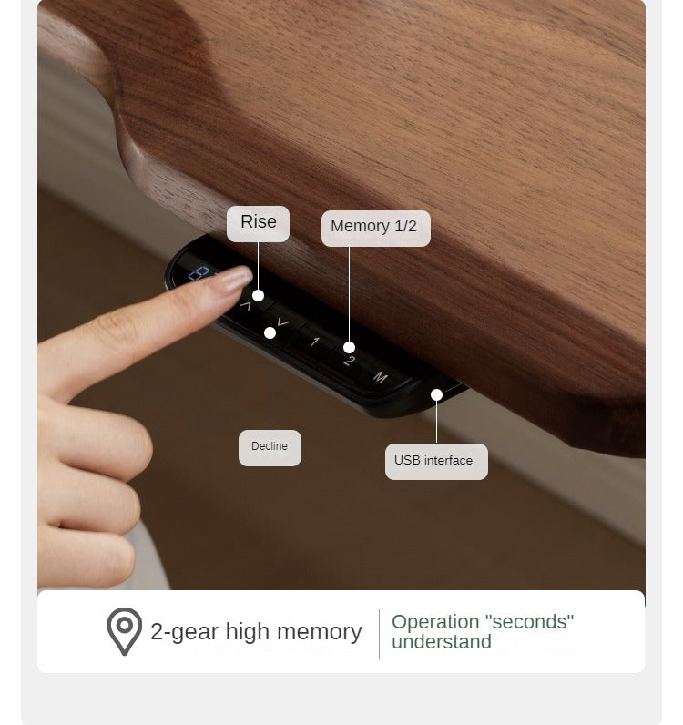 Ash, Sandalwood, Black Walnut Solid Wood Electric Elevating Office Desk