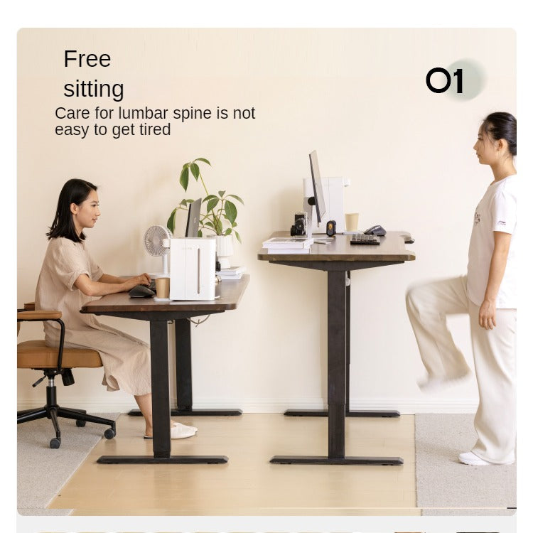 Ash, Sandalwood, Black Walnut Solid Wood Electric Elevating Office Desk