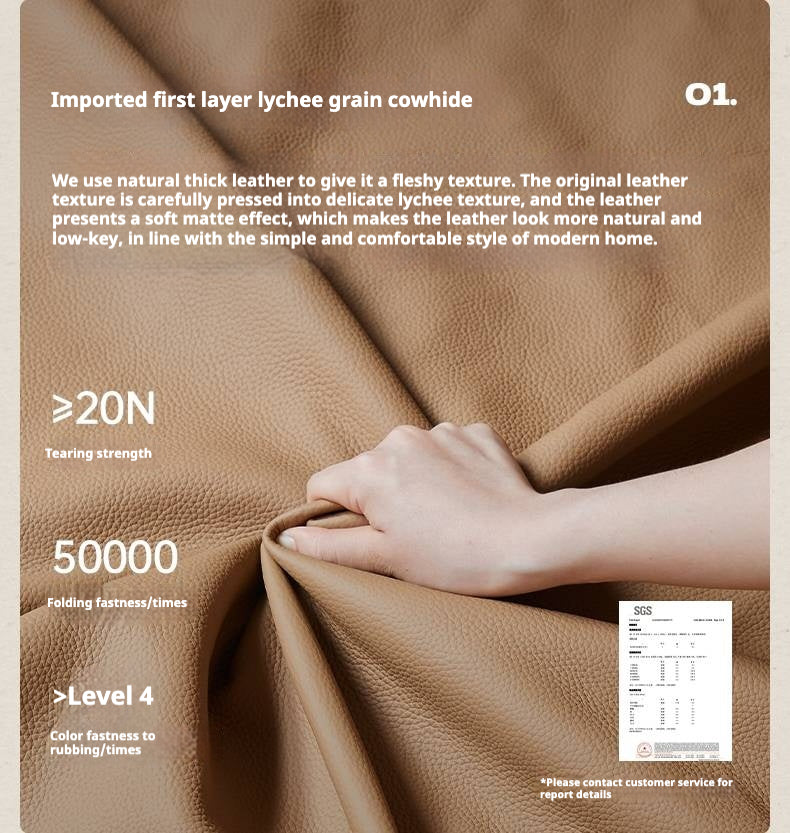 Functional Electric Reclining Chair