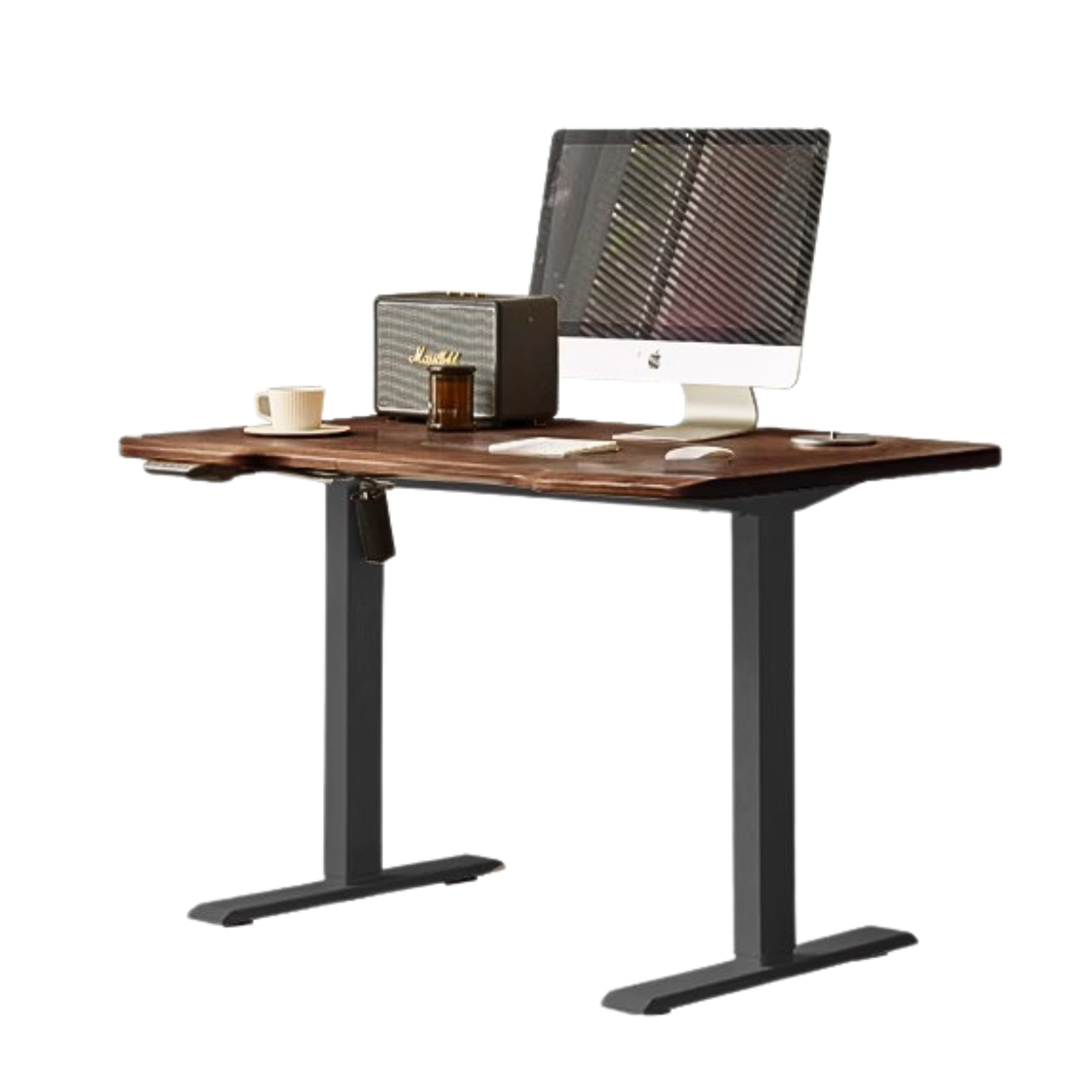 Ash, Sandalwood, Black Walnut Solid Wood Electric Elevating Office Desk