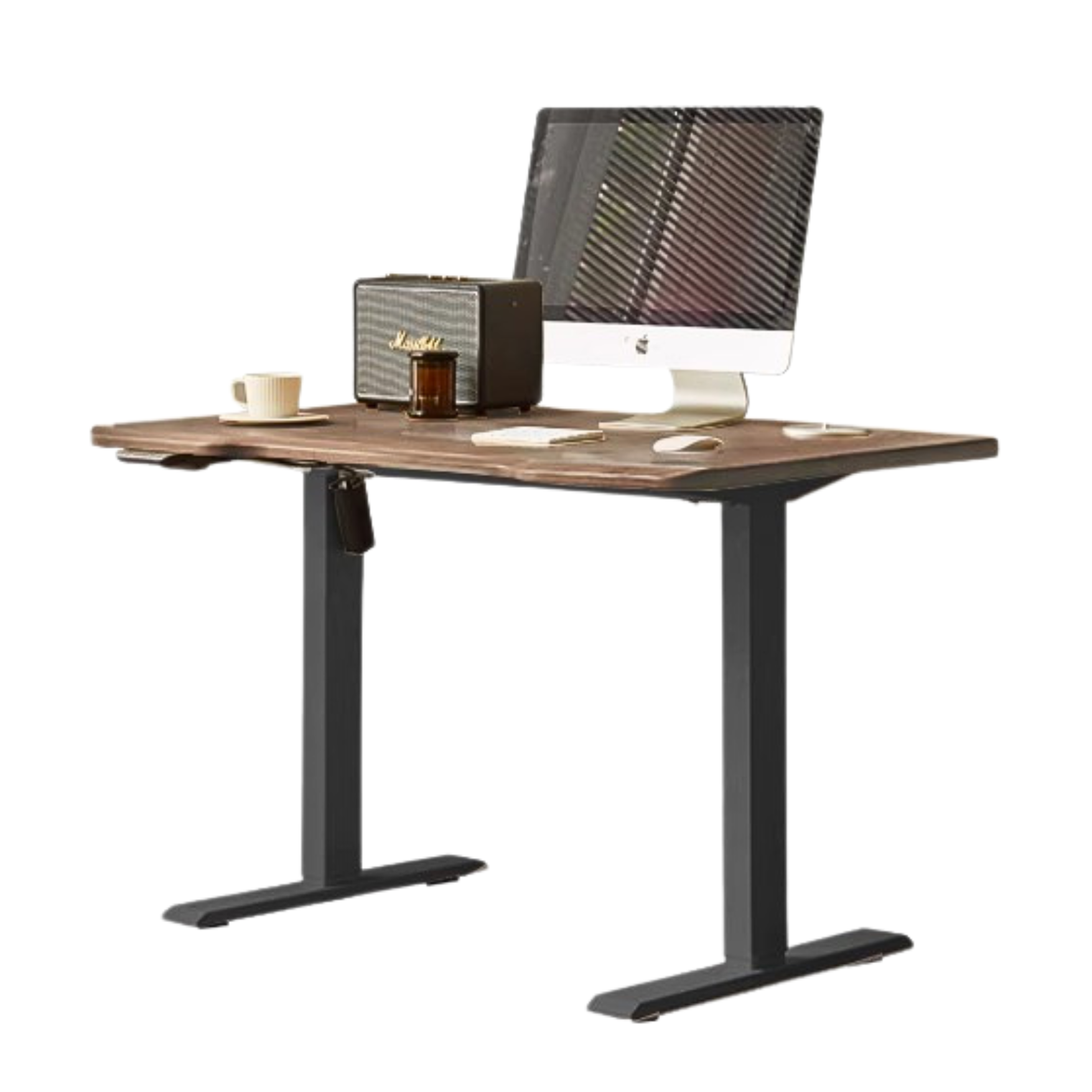 Ash, Sandalwood, Black Walnut Solid Wood Electric Elevating Office Desk