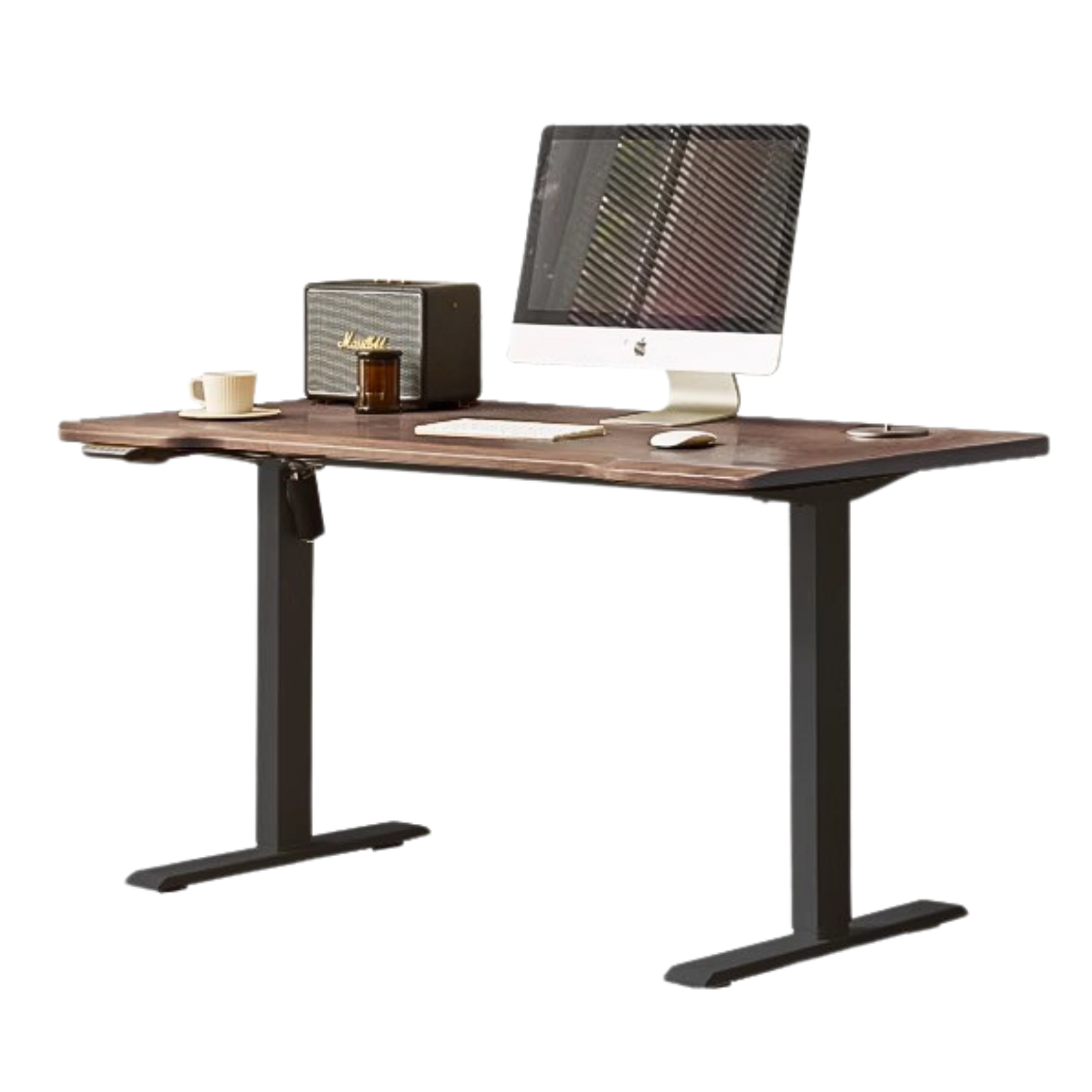 Ash, Sandalwood, Black Walnut Solid Wood Electric Elevating Office Desk