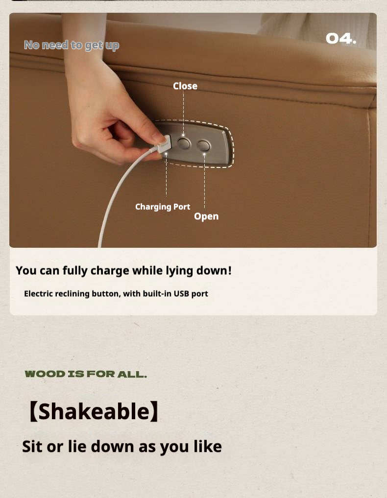 Functional Electric Reclining Chair