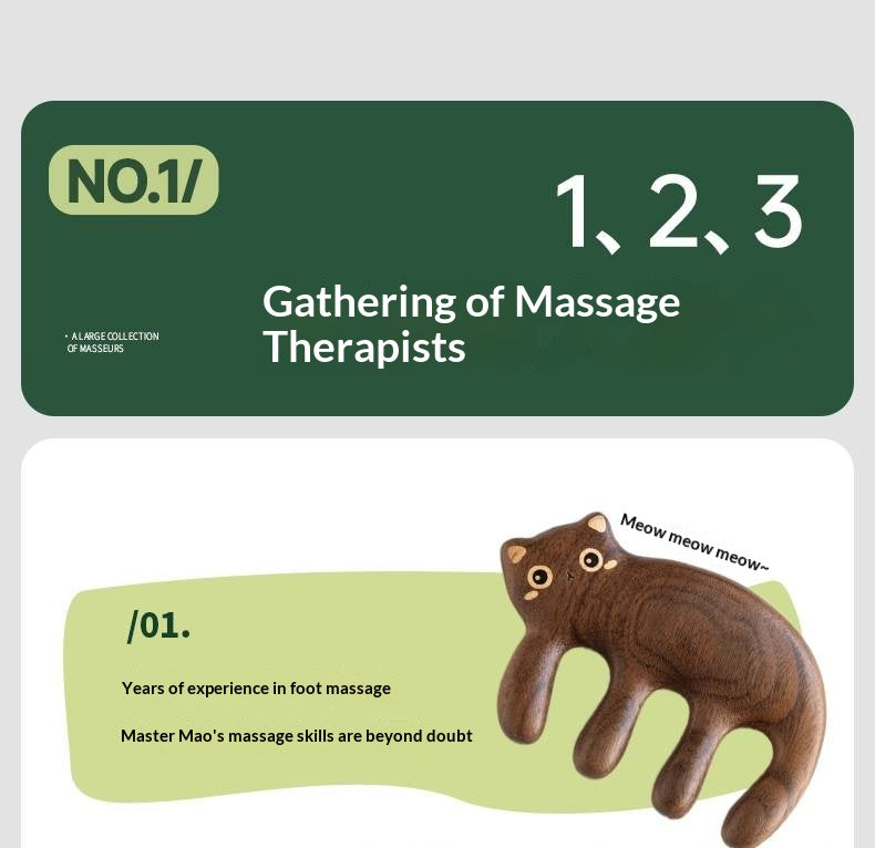 Black Walnut Solid Wood Modern Massage Comb