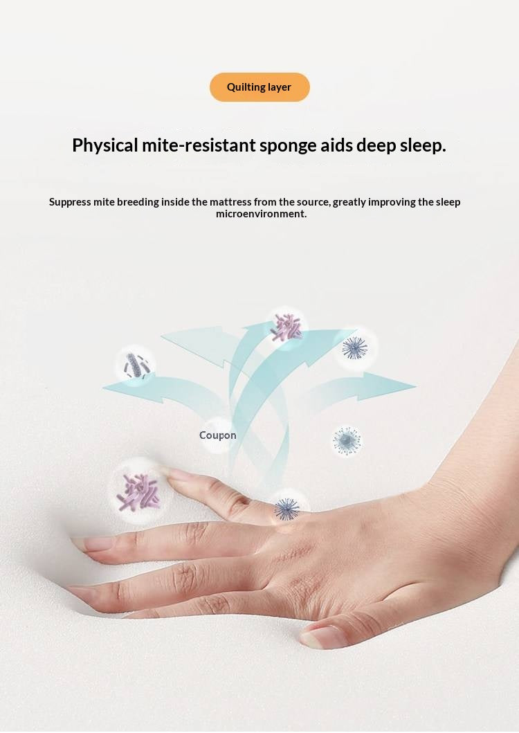 Eco-Friendly Coconut Palm and Bamboo Charcoal Latex Mattress — Zero-Glue, Antibacterial, Breathable, Thin Design