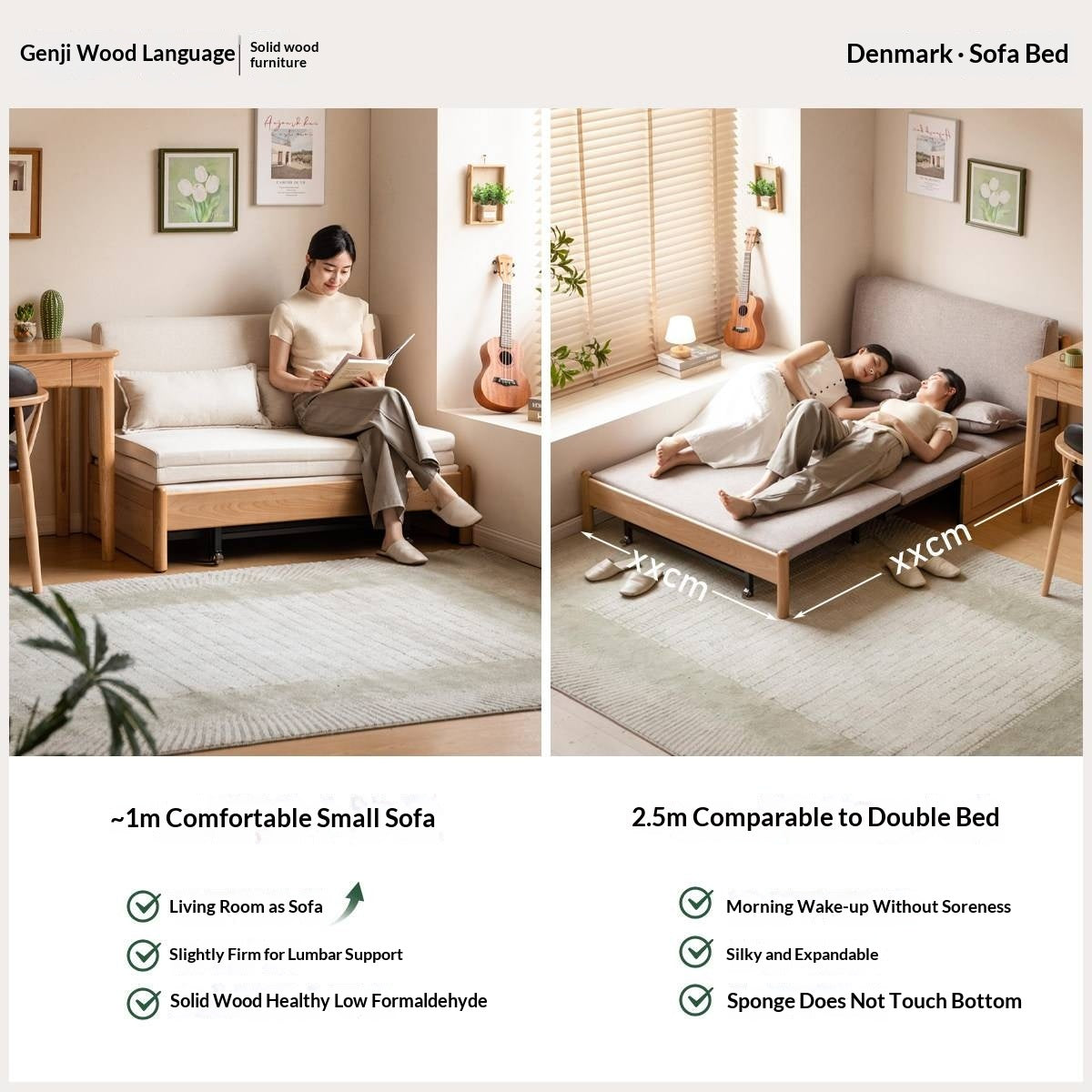 Beech Solid Wood Minimalist Pull-Out Sofa Bed