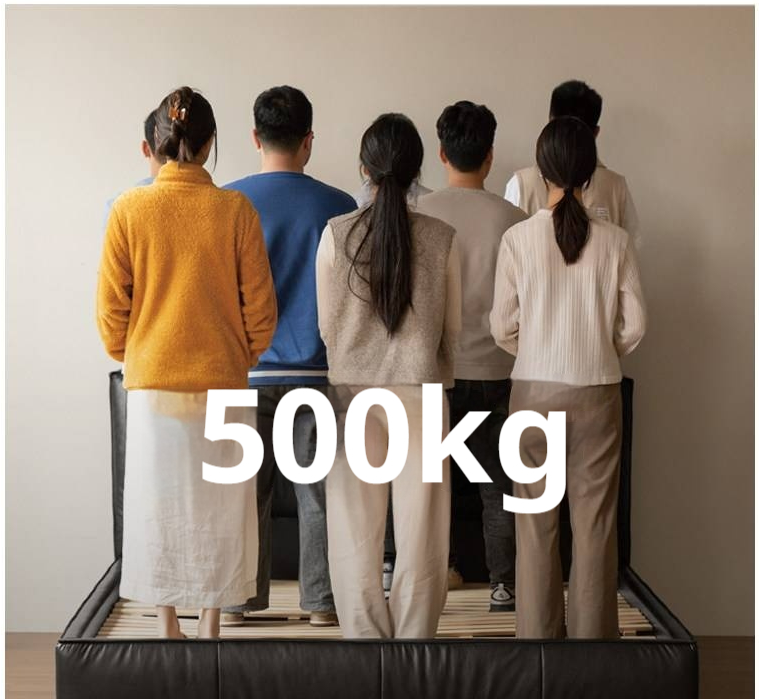 Genuine Leather Upholstered Bed — Black Large Bed, Italian Light Luxury Design