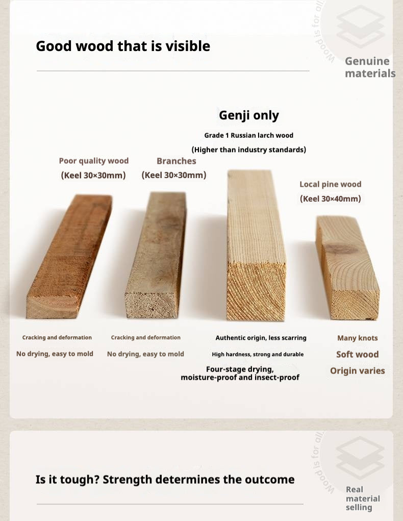 Functional Electric Reclining Chair