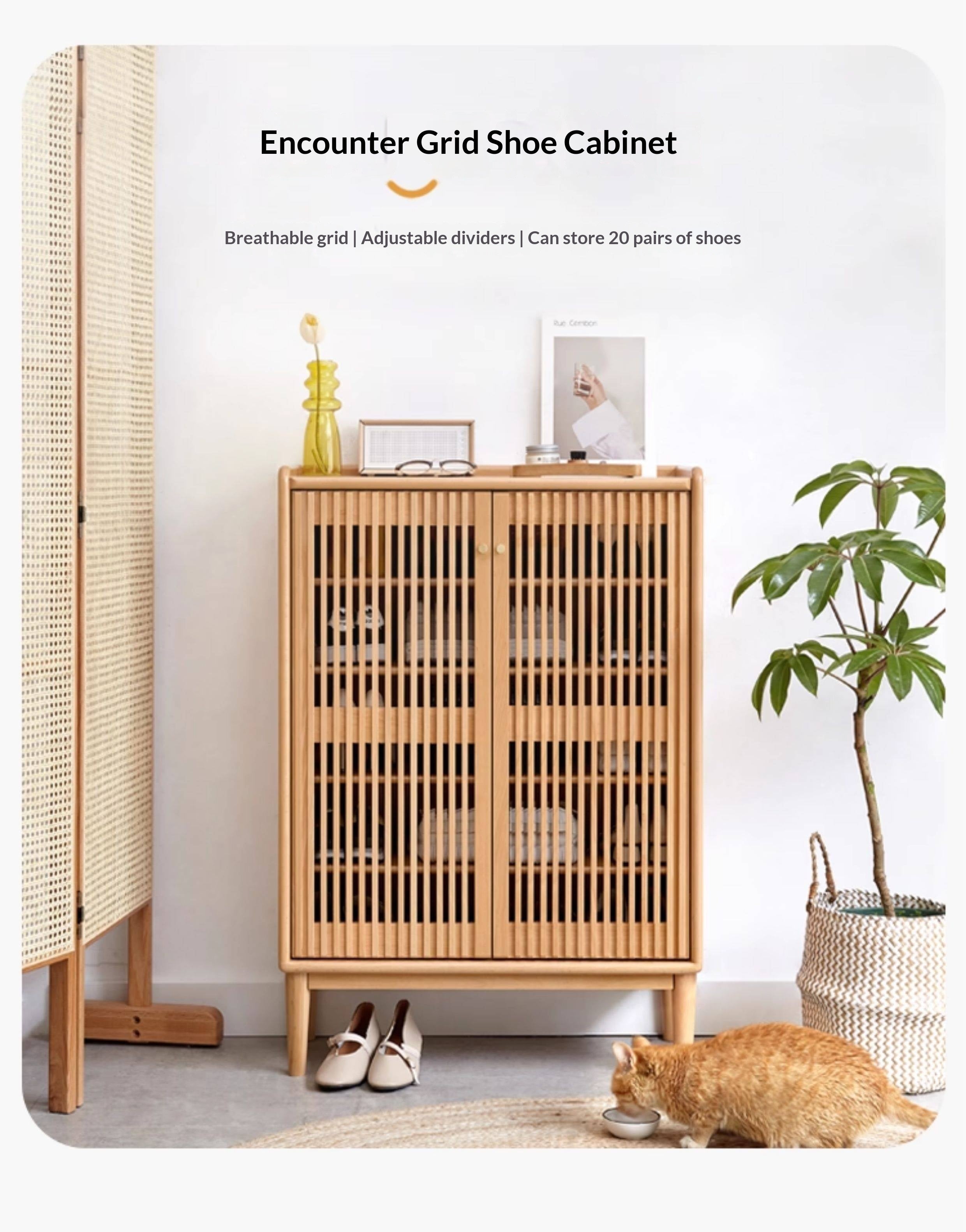 Beech Solid Wood Modern Shoe Cabinet
