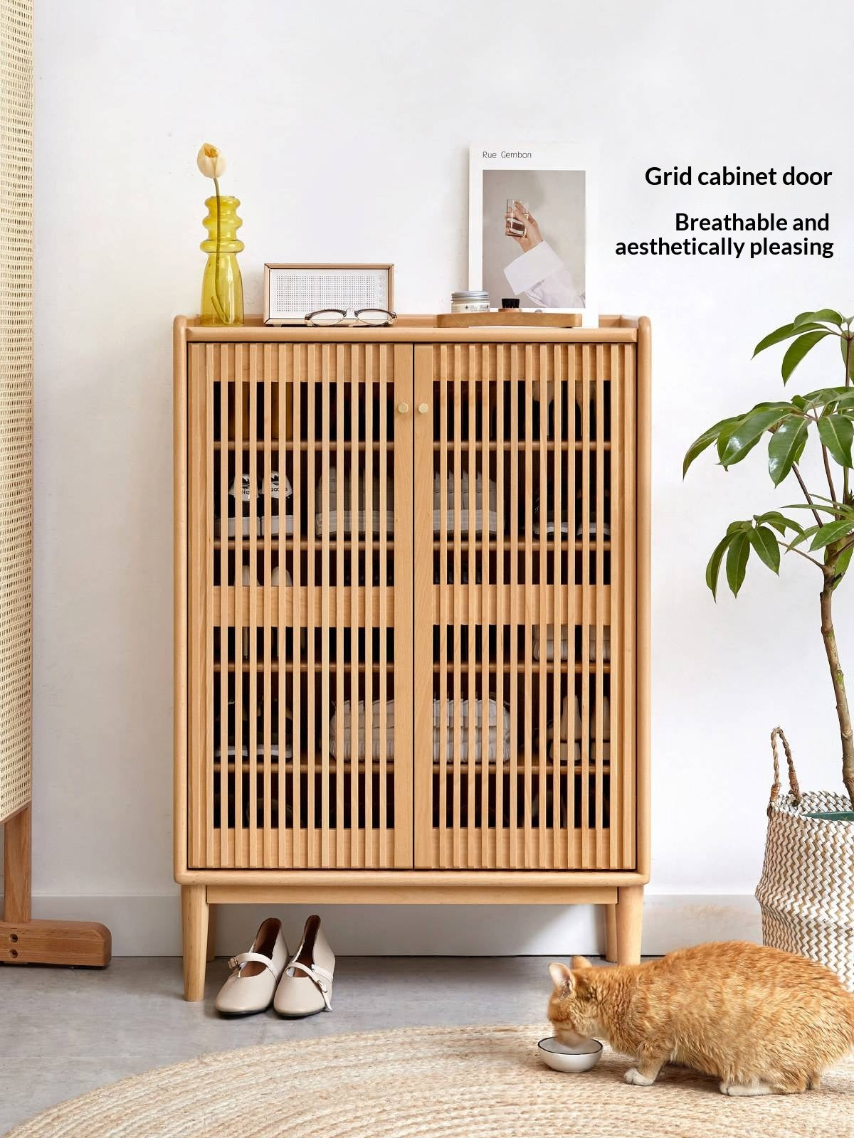 Beech Solid Wood Modern Shoe Cabinet