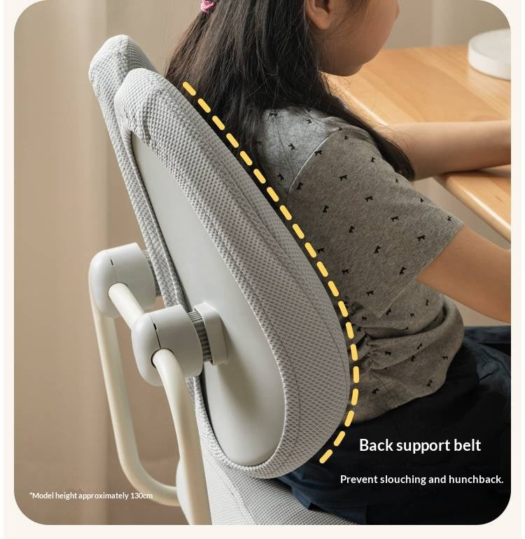Adjustable Hand-cranked Height Chair