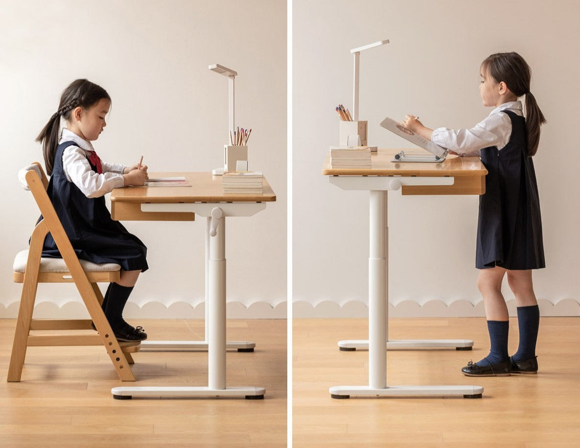 Beech Solid Wood Hand-Cranked Kids Lifting Table Board Shelf DIY